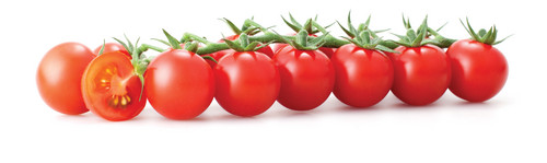  Juicy Tomatoes ♡