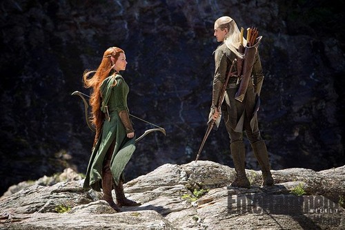  Legolas and Tauriel in The Hobbit: Desolation of Smaug
