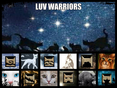  Luv Warriors