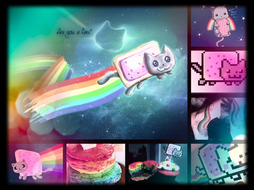  Nyan cat peminat collage!
