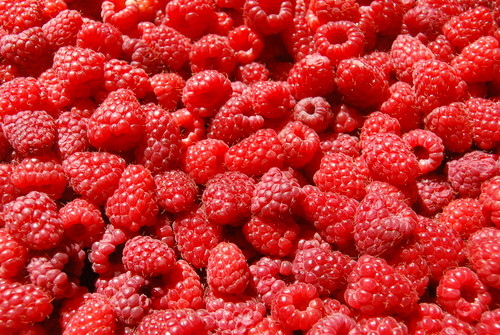  Raspberries ♡