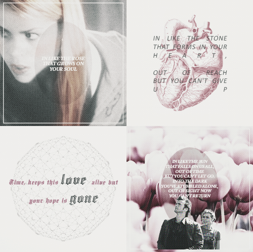  The Doctor and Rose
