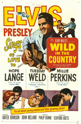  Wild In The Country | Poster ಇ