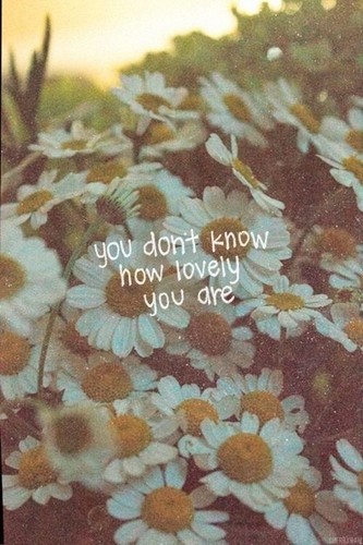  You're Just Lovely (: