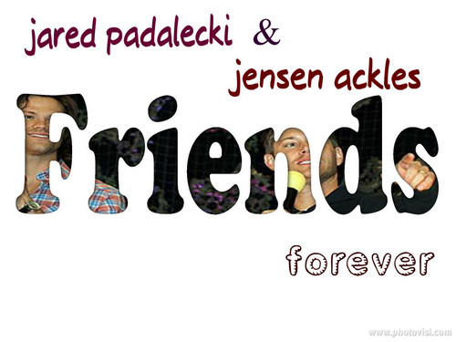  Những người bạn forever j and j.