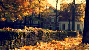 Autumn in the city