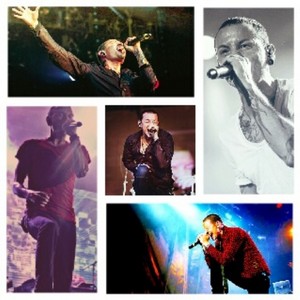  Chester ∞