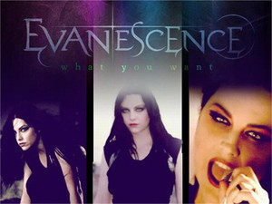  Evanescence - What wewe Want