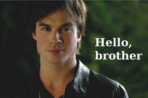  Hello brother