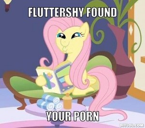  MLP funny pictures