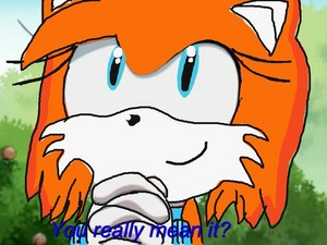  Maisie The rubah, fox in Sonic X