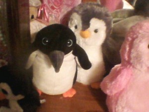  My penguin, auk Plushies - Skuddles and Bradley