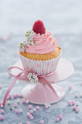 Pretty Cupcake