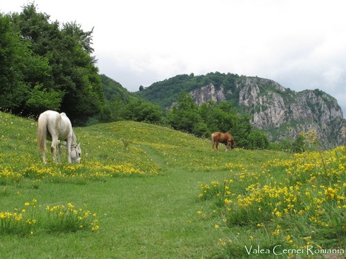 Romania Carpathians mountains landscape eastern Europe