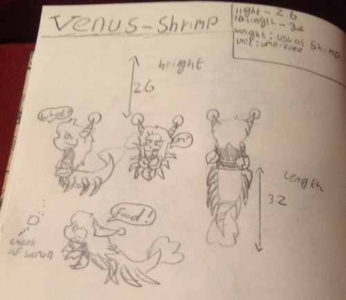 Sketches of shrimp Venus 