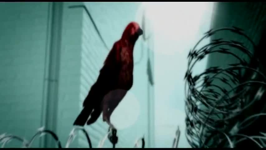 System of a Down- Question! {Music Video}