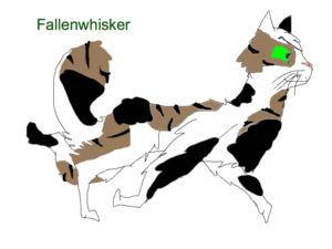 fallenwhisker