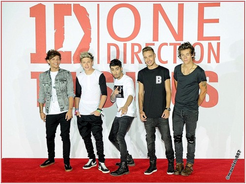 one direction 2013
