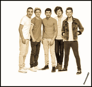  one direction 2013,