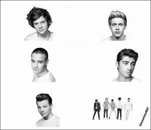  one direction 2013,