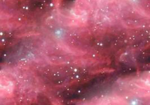  merah jambu stars