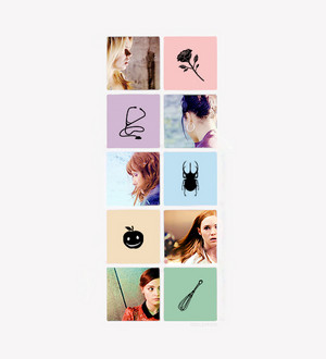  Companions and Symbols :)