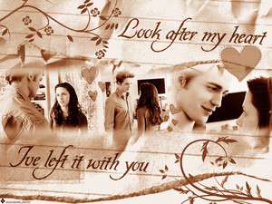  Edward&Bella quotes
