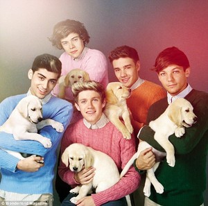  One direction with puppys
