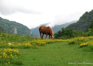  Romania scenery Carpathian mountains eastern europe