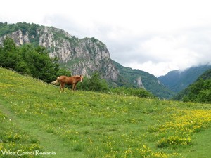  Romania beautiful scenery Carpathian mountains