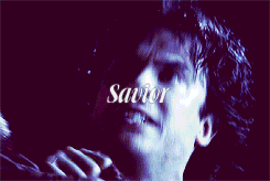  Stefan Salvatore → described in 6 words