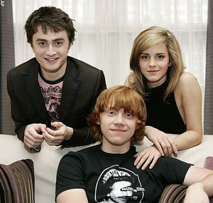  The Harry Potter Trio :D