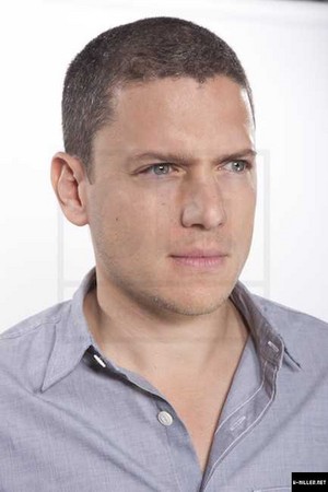  Wentworth Miller Comes Out as Gay
