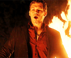 "Klaus as a wolf"