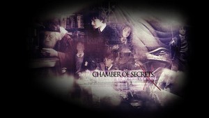  Chamber of Secrets