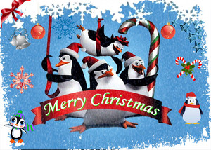 Penguins at Christmas!!