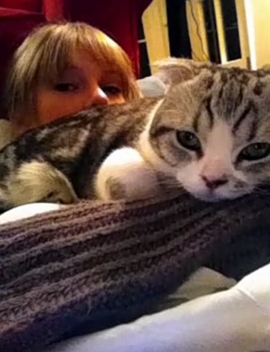  Taylor 迅速, 斯威夫特 and her cat Meredith