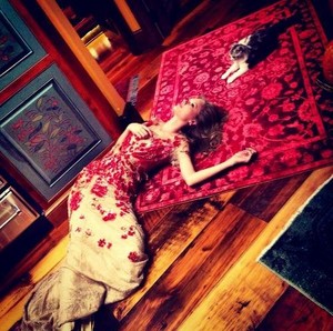  Taylor nhanh, swift and her cat Meredith