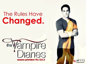 The Vampire Diaries Season 5 Promotional Wallpaper