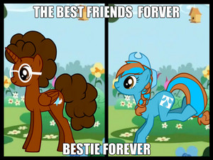  bff forever