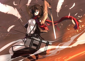  ☤SnK☤(Mikasa)