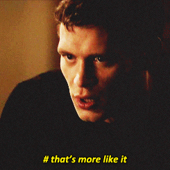  "The moment u fell in love with Klaus & Stefan."