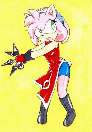  Amy Rose: Sakura's Outfit
