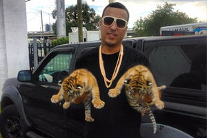  French Montana with baby lions in his hands