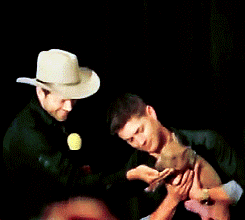  Jensen & Misha - Dallas Con 2013