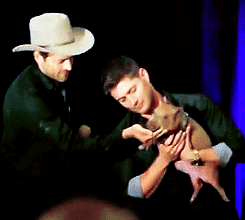 Jensen & Misha - Dallas Con 2013