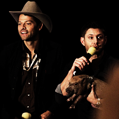  Misha and Jensen - Dallas Con 2013