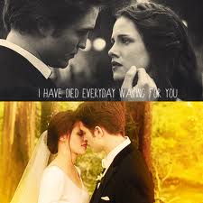  Mr&Mrs Edward Cullen