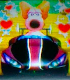 My DSi photos of Birdo in Mario Kart Wii-edited using the edit function