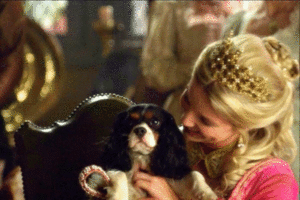 Queen Jane + puppy